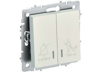 BRITE Выключатель 2-клавишный с индикацией для отелей 10А ВС10-2-9-БрЖ жемчуг IEK BR-V20-2-10-K36
