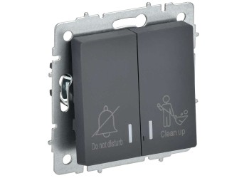 BRITE Выключатель 2-клавишный с индикацией для отелей 10А ВС10-2-9-БрГ графит IEK BR-V20-2-10-K53