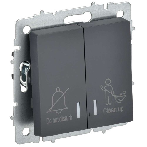 BRITE Выключатель 2-клавишный с индикацией для отелей 10А ВС10-2-9-БрГ графит IEK BR-V20-2-10-K53, купить в Минске по самой низкой цене