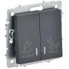 BRITE Выключатель 2-клавишный с индикацией для отелей 10А ВС10-2-9-БрГ графит IEK BR-V20-2-10-K53, купить в Минске по самой низкой цене