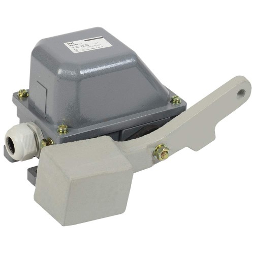 Выключатель концевой КУ-703 У1 рычаг с грузом 10А IP44 2 эл. цепи б/п IEK KV-1-703-1, купить в Минске по самой низкой цене