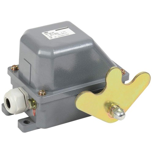 Выключатель концевой КУ-704 У1 W- образный рычаг 10А IP44 2 эл. цепи IEK KV-1-704-1, купить в Минске по самой низкой цене