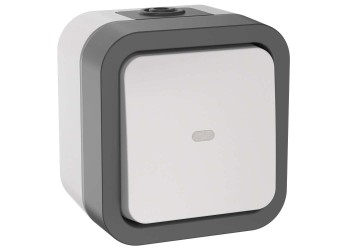 TORS Переключатель одноклавишный с индикацией 10А IP55 TS202 серо-белый IEK TS-V10-1-10-55-K41