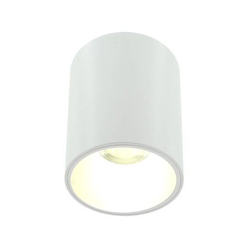 Накладной светильник Lightera Shamrock LE201CL-1WA, купить в Минске по самой низкой цене