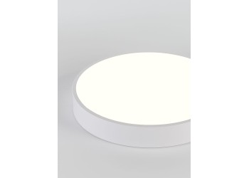 Потолочный светодиодный светильник Natali Kovaltseva LED LAMPS 81111/5C