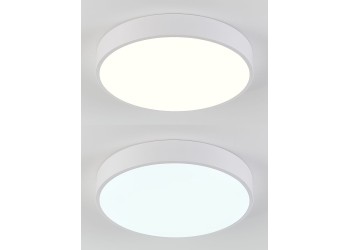 Потолочный светодиодный светильник Natali Kovaltseva LED LAMPS 81111/5C