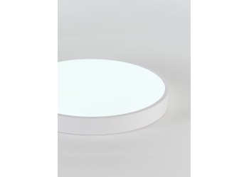 Потолочный светодиодный светильник Natali Kovaltseva LED LAMPS 81112/5C