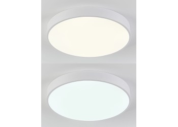 Потолочный светодиодный светильник Natali Kovaltseva LED LAMPS 81112/5C