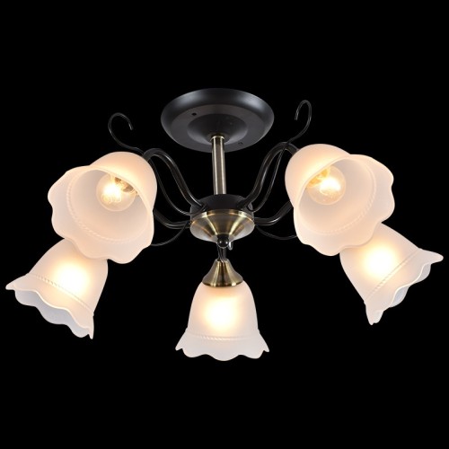 Потолочная люстра Reluce 01265-0.3-05B BK+AB, купить в Минске по самой низкой цене