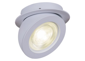 Спот Reluce 84053-9.0-001QR COB8W WT