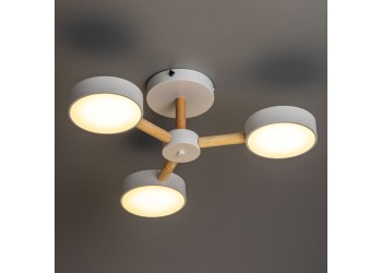 Потолочная светодиодная люстра Ritter Scandia 51589 4