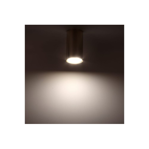 Накладной потолочный светильник Ritter Arton 59953 1, купить в Минске по самой низкой цене