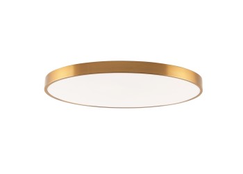 Потолочный светодиодный светильник Zortes Tortty ZRS.02566.120