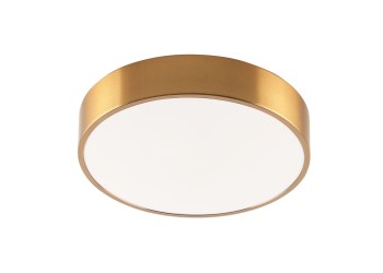 Потолочный светодиодный светильник Zortes Tortty ZRS.02566.36