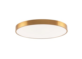 Потолочный светодиодный светильник Zortes Tortty ZRS.02566.96