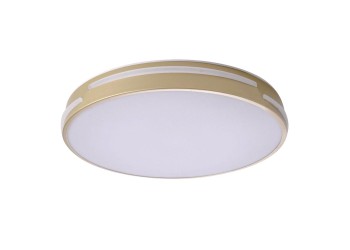 Потолочный светодиодный светильник Zortes Gabby ZRS.90610.40