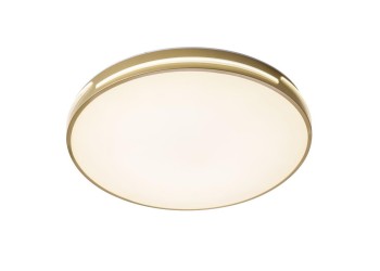 Потолочный светодиодный светильник Zortes Gabby ZRS.90610.50