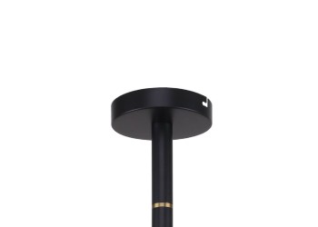 Подвесная люстра Favourite Eternity 2766-12P