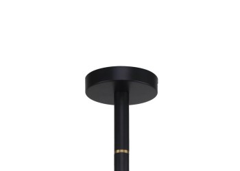 Подвесная люстра Favourite Eternity 2766-8P