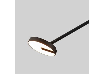 Потолочная светодиодная люстра Favourite Paritet 4401-2C