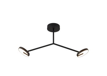 Потолочная светодиодная люстра Favourite Paritet 4401-2C