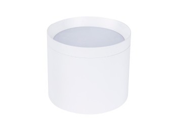 Накладной светильник Favourite 4708-1C