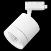 Трековый светодиодный светильник Lightstar Canno Led 301262, купить в Минске по самой низкой цене
