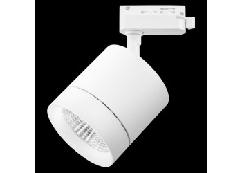 Трековый светодиодный светильник Lightstar Canno Led 301262