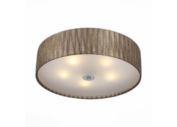 Накладной светильник ST Luce Rondella SL357.702.05