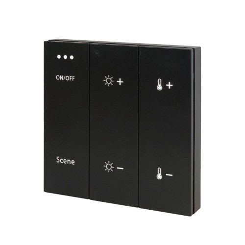 Панель управления ДУ ST Luce Skyline ST015.400.99, купить в Минске по самой низкой цене