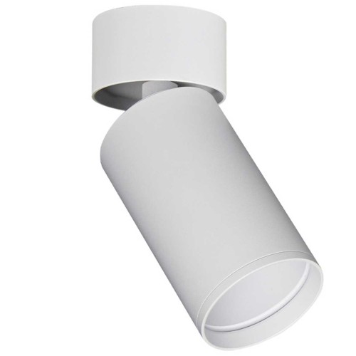 Светильник потолочный ST Luce ST171.502.01, купить в Минске по самой низкой цене