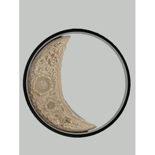 Бра Alfa Light F0324-40, купить в Минске по самой низкой цене