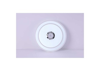 Настенно-потолочный светильник Camelion LBS-2005 13394