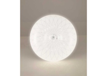 Настенно-потолочный светильник Camelion LBS-6201 14301