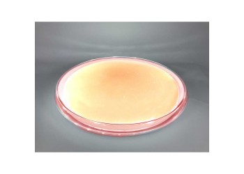 Настенно-потолочный светильник Camelion LBS-7732 14526