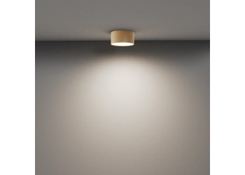 Потолочный светодиодный светильник Maytoni Technical Zon C032CL-12W4K-RD-MG