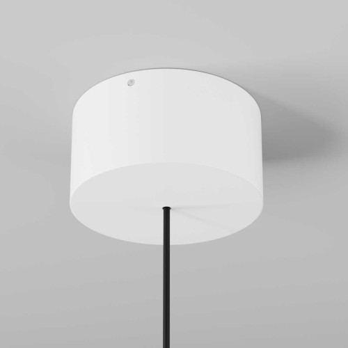 Подвесной светильник Maytoni Outdoor O491PL-L8W3K, купить в Минске по самой низкой цене