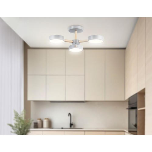 Потолочная светодиодная люстра Ambrella light Comfort LineTech FL4822, купить в Минске по самой низкой цене