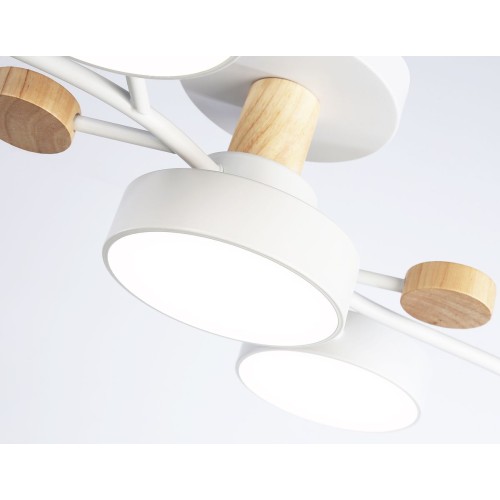 Потолочная светодиодная люстра Ambrella light Comfort LineTech FL4834, купить в Минске по самой низкой цене