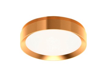 Насадка передняя для корпуса светильника Ambrella light PYG золото желтое полированное N8124