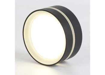 Потолочный светильник Ambrella light TN5389