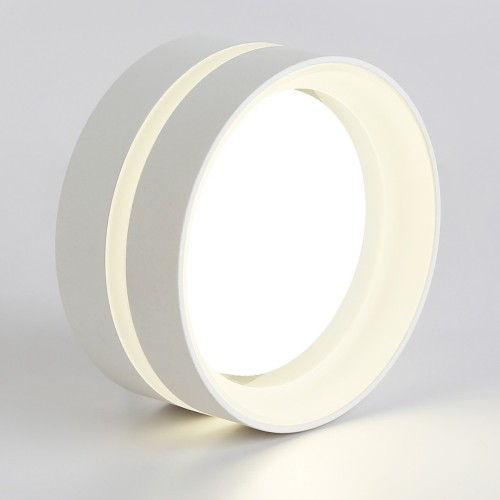 Потолочный светильник Ambrella light TN5419, купить в Минске по самой низкой цене