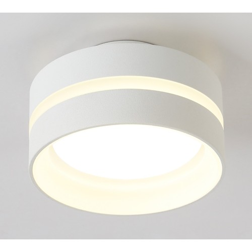 Потолочный светильник Ambrella light TN5419, купить в Минске по самой низкой цене