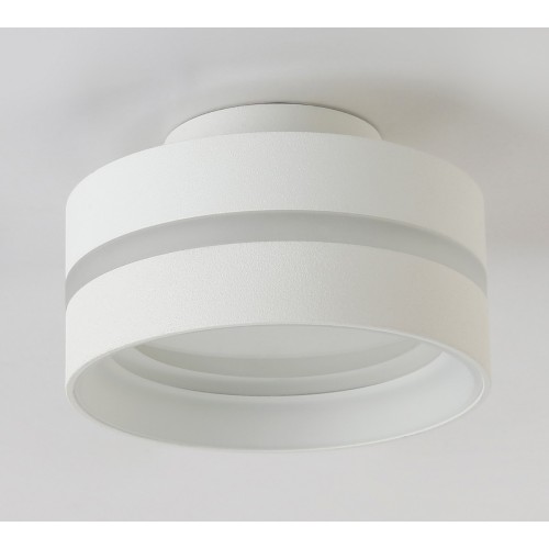 Потолочный светильник Ambrella light TN5419, купить в Минске по самой низкой цене