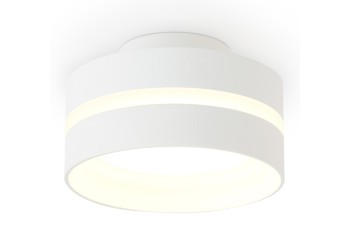 Потолочный светильник Ambrella light TN5419