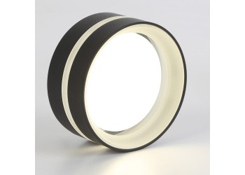 Потолочный светильник Ambrella light TN5421