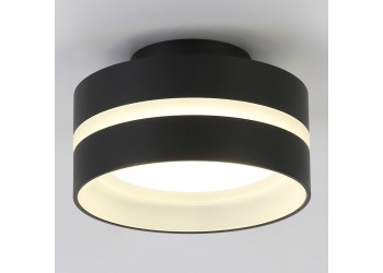 Потолочный светильник Ambrella light TN5421