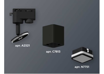 Комплект трекового светильника Ambrella light Track System XT7813021 SBK/FR черный песок/белый матовый (A2521, C7813, N7751)
