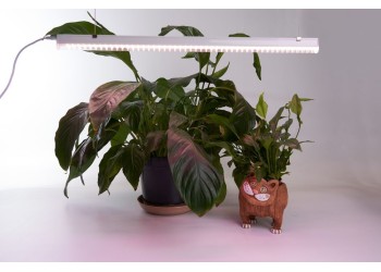 Светодиодный светильник для растений Feron AL7002 41355