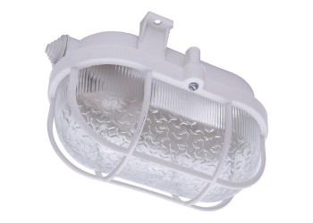 Настенно-потолочный светильник Feron НБП 01-60-002 41404